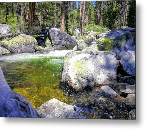 Gold Metal Print featuring the photograph Yosemite Alive by J R Yates
