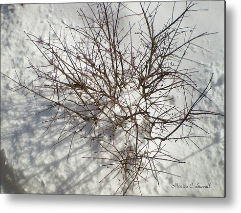 Buy Metal Print featuring the photograph Young Burning Bush in Winter by Monica C Stovall