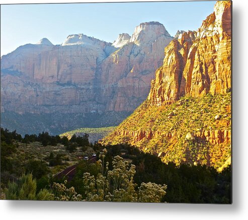 Zion Metal Print featuring the photograph Zion's Gold by Patricia Haynes