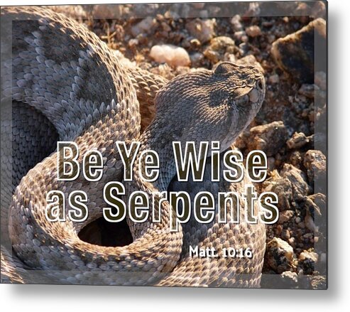 Adage Metal Print featuring the photograph Be Ye Wise as Serpents by Judy Kennedy