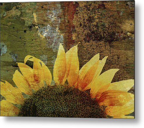 Sun Metal Print featuring the photograph Imitating the Sun II #2 by Char Szabo-Perricelli