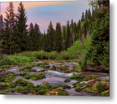 Nature Metal Print featuring the photograph Mountain Spring #1 by Leland D Howard
