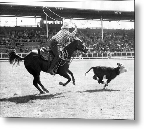 1950-1959 Metal Print featuring the photograph Rodeo Calf Roping Contest #1 by Underwood Archives