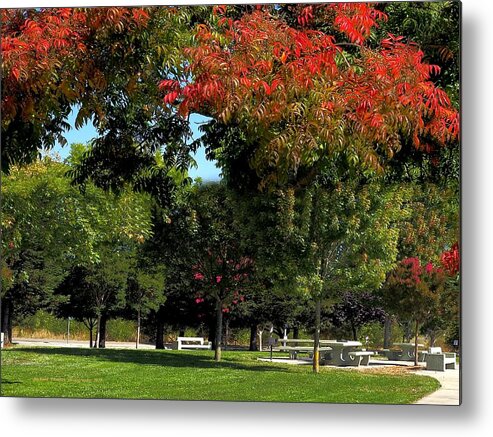 Seasons Metal Print featuring the photograph Summer to Fall #1 by Richard Thomas