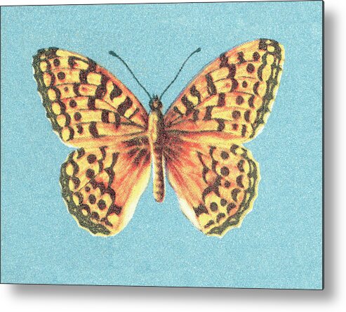 Animal Metal Print featuring the drawing Butterfly #16 by CSA Images