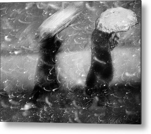 Blizzard Metal Print featuring the photograph Winter Passengers #2 by Nicoleta Gabor