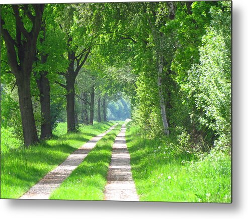 Walk Metal Print featuring the painting A walk through Winsen Luhe by Patricia Piotrak