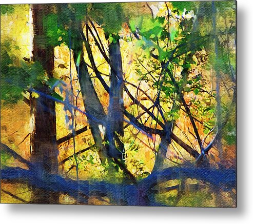 Trees Metal Print featuring the mixed media Afternoon in the Woods by Christopher Reed