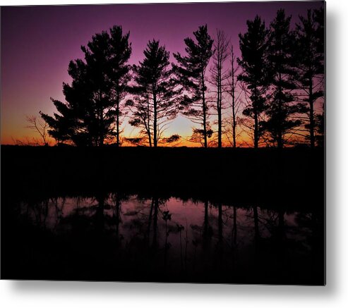 Sunset Metal Print featuring the pyrography An Evening to Remember by Lori Frisch
