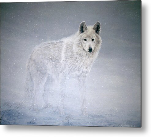 A White Wolf Is Just Visible Through A Harsh Wind. Metal Print featuring the painting Arctic Winds by Ron Parker