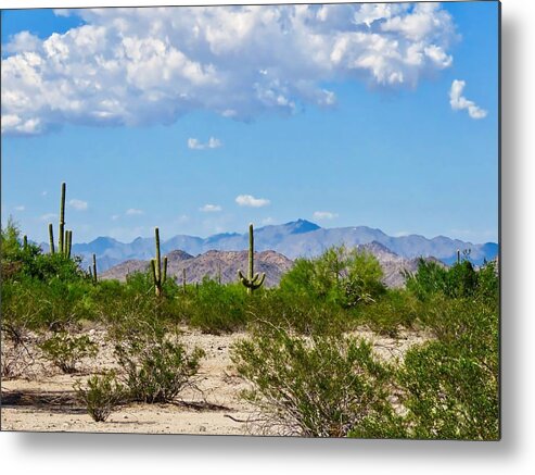 Arizona Metal Print featuring the photograph Arizona Desert Hidden Valley by Judy Kennedy