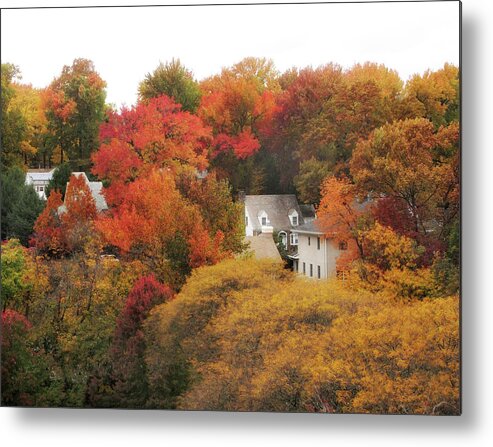 Autumn Metal Print featuring the photograph Autumn Embrace by Jessica Jenney