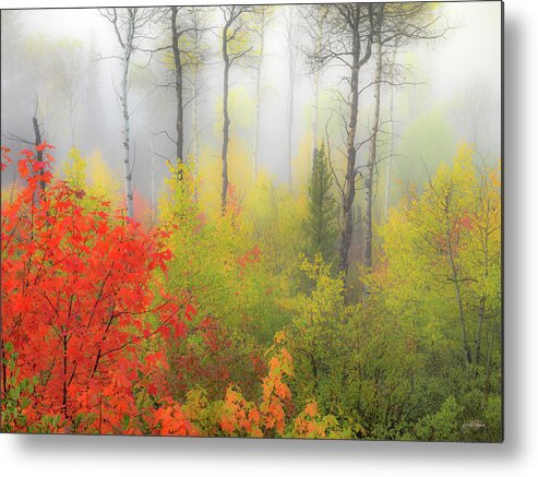 Idaho Scenics Metal Print featuring the photograph Autumn Silence by Leland D Howard