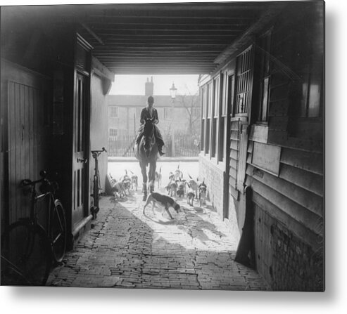 Horse Metal Print featuring the photograph Beagle Hunt by Fox Photos