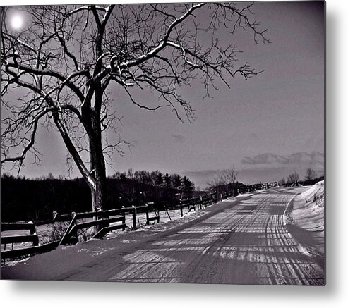 Tree Metal Print featuring the photograph Beyond the Wooden Fence by David Dehner
