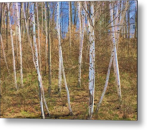 Woods Metal Print featuring the digital art Birch Grove on the side of the hill by Steve Glines