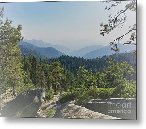 Forest Metal Print featuring the photograph Blue Valley by Leslie M Browning