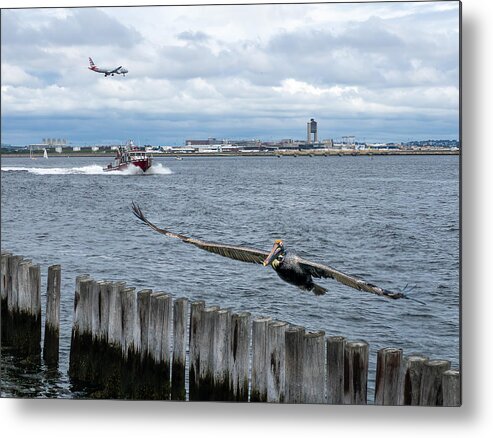 Airliner Metal Print featuring the photograph Boston Harbor Landings by Ed Esposito