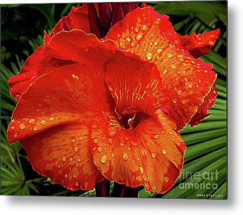 Mona Stut Metal Print featuring the photograph Canna Lily Closeup by Mona Stut