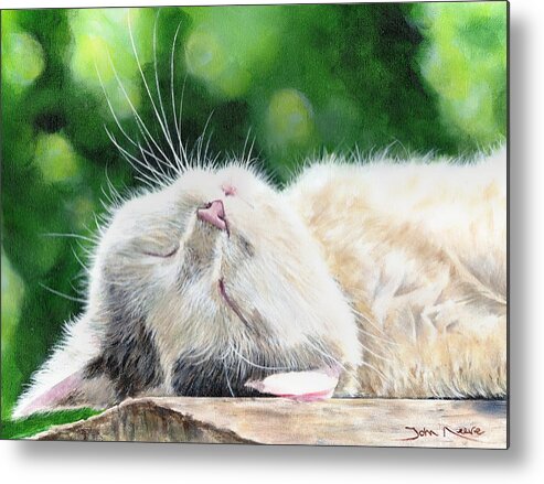 Cat Metal Print featuring the painting Catnap by John Neeve