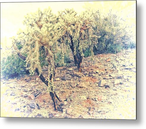 Affordable Metal Print featuring the photograph Chain Fruit Cholla by Judy Kennedy