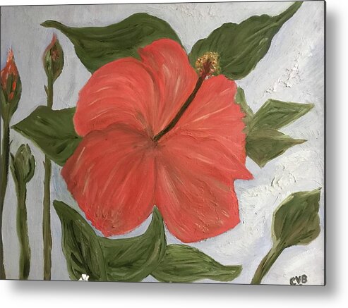 Coral-colored Metal Print featuring the painting Coral colored Hibiscus by Clare Ventura