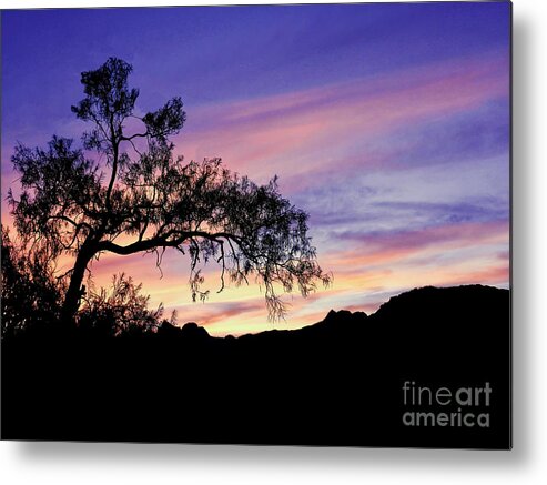 Desert Metal Print featuring the photograph Desert Tree at Twilight by Beth Myer Photography