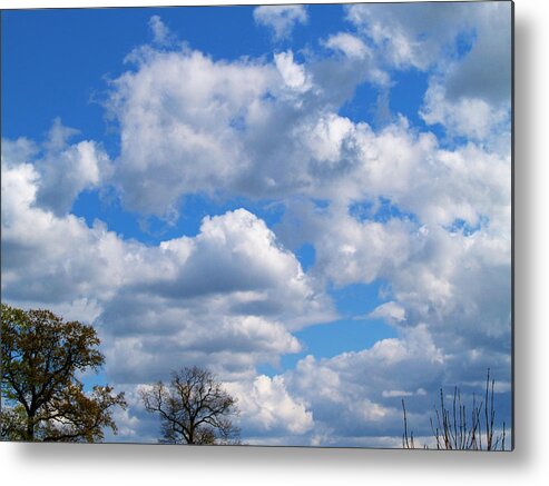 Photography Metal Print featuring the photograph Dutch cloud view by Luc Van de Steeg