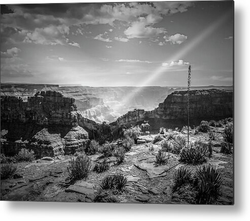 Canyon Eagle Grand Rim Rock The West Abyss Altitude Awesome Bluffs Breathtaking Chasm Cliffs Elevation Escarpment Face Formations Formidable High Black & White Metal Print featuring the digital art Eagle Rock, Grand Canyon in Black and White by Pheasant Run Gallery