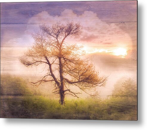 Carolina Metal Print featuring the photograph Fall Mists by Debra and Dave Vanderlaan