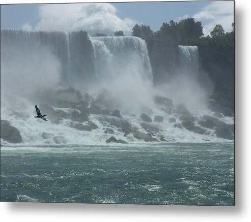 Niagara Falls Metal Print featuring the photograph Flying Free over Niagara Falls by Robin Valentine