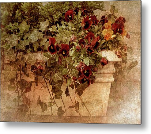 Flowers Metal Print featuring the photograph Fresco by Jessica Jenney