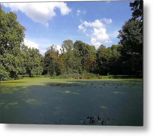 Green Metal Print featuring the photograph Green Pond by Piotr Dulski