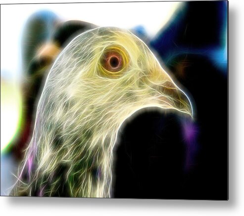 Pigeon Metal Print featuring the photograph Homer Pigeon Up Close Fibers by Don Northup