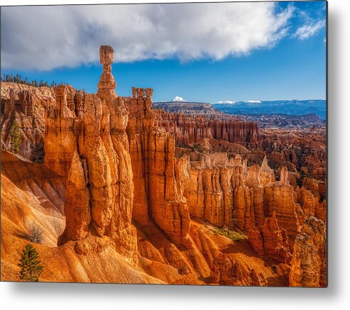 Trees Metal Print featuring the photograph Hoodoos Of Bryce Canyon National Park by Anchor Lee