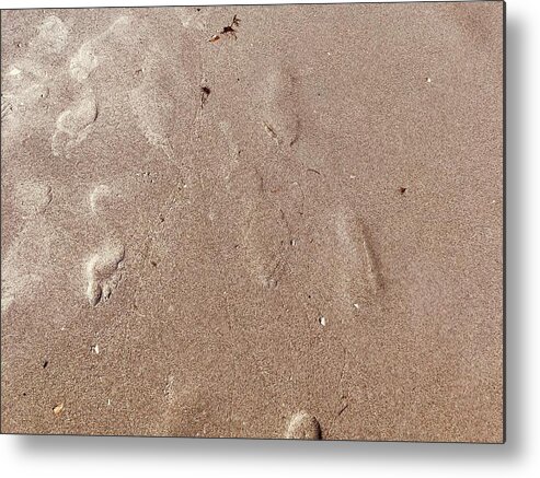 Beach Metal Print featuring the photograph I Was Here Upon This World by Shelly Tschupp
