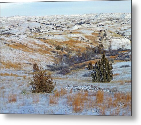 North Dakota Metal Print featuring the photograph January Grasslands and Badlands by Cris Fulton