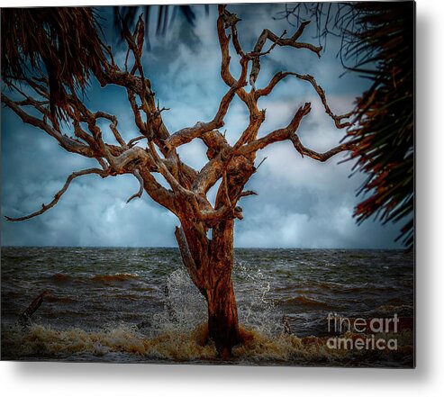 Seascapes Metal Print featuring the photograph Jekyll's Driftwood Beach at High Tide by DB Hayes