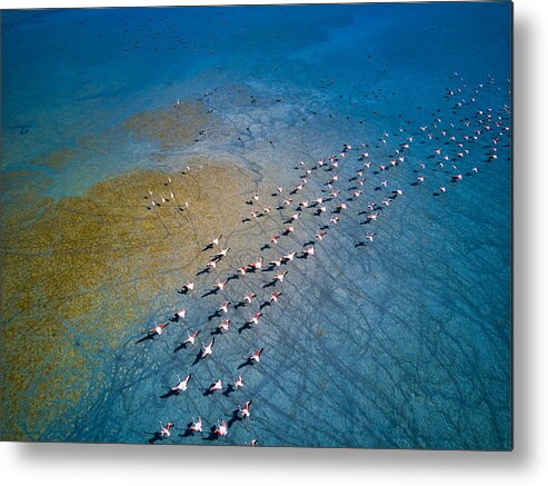 Wildlife Metal Print featuring the photograph Lake Yar?sl? by Musakeskin