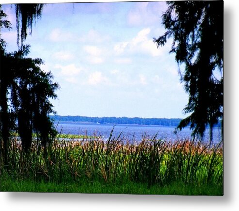  Metal Print featuring the photograph Lovely Lake by Lindsey Floyd