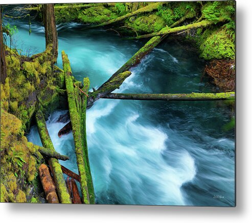 Art In Nature Metal Print featuring the photograph Mckenzie River Color by Leland D Howard