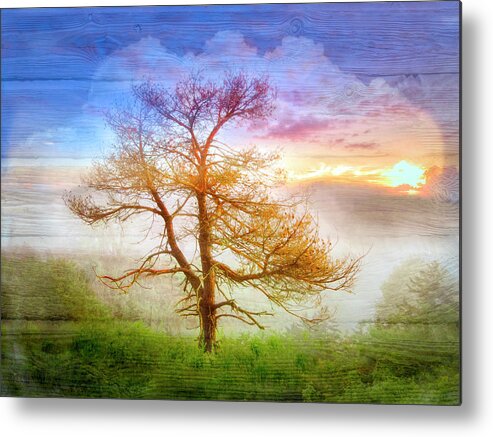 Carolina Metal Print featuring the photograph Mists by Debra and Dave Vanderlaan