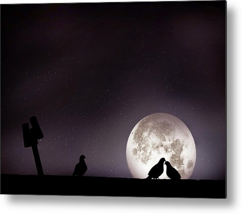 Animal Themes Metal Print featuring the photograph Moon With Love Pigeon by Mhd Hamwi