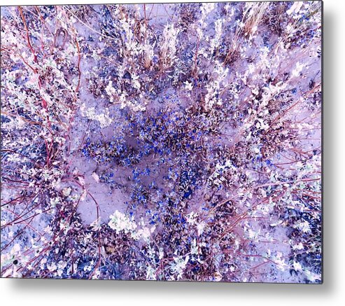 Affordable Metal Print featuring the photograph Nature's Purple Heart by Judy Kennedy