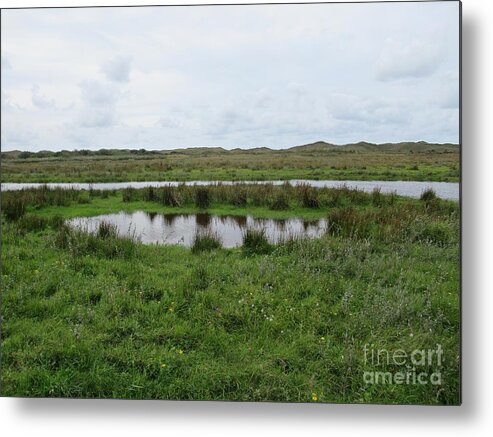 Path Metal Print featuring the photograph Near De Muy on Texel by Chani Demuijlder