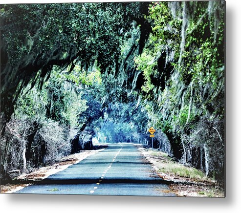 Trees Metal Print featuring the photograph Old HWY 90 by Jerry Connally