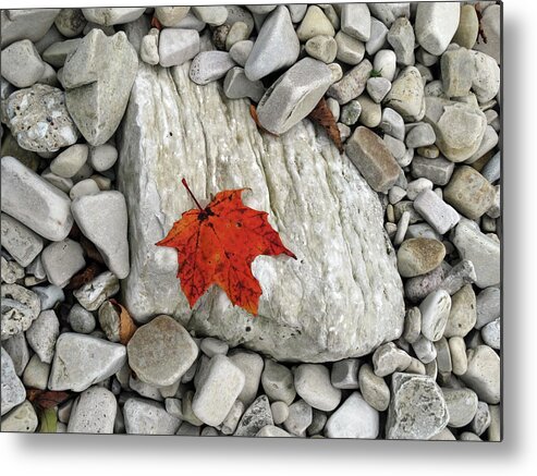 Fall Metal Print featuring the photograph One Leaf Many Rocks by David T Wilkinson