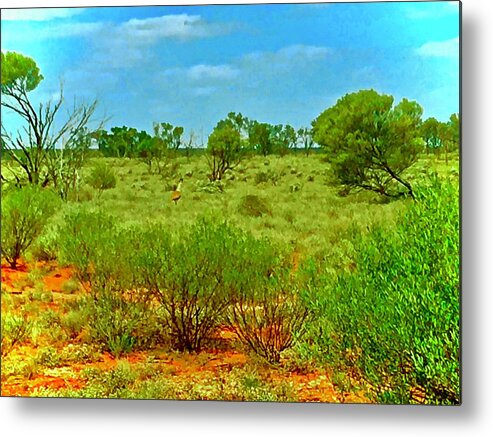 Sam Metal Print featuring the photograph Outback Hike by Debra Grace Addison