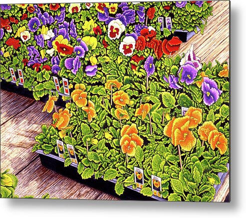 Pansies In Growing Boxes Metal Print featuring the painting Pansies by Thelma Winter