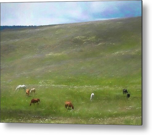 Horses Metal Print featuring the photograph Pastoral Pasture by Allan Van Gasbeck
